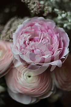 Closeup of pink peony in a small bouquet of pale pink flowers