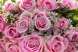 Closeup of pink roses bouquet