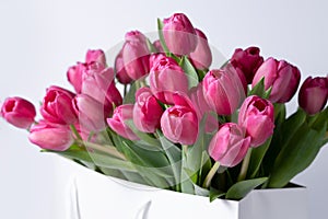 Closeup pink tulip flowers in a cardboard bag on white background