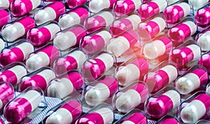 Closeup pink-white antibiotics capsule pills in blister pack. Antimicrobial resistance. Pharmaceutical industry. Global healthcare