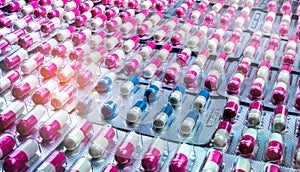 Closeup pink-white and blue-white antibiotics capsule pills in blister pack. Antimicrobial drug resistance. Pharmaceutical