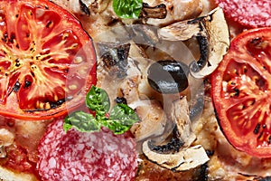 Closeup of pizza with salami, tomatoes and olives