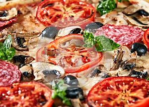 Closeup of pizza with salami, tomatoes and olives