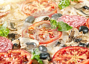 Closeup of pizza with salami, tomatoes and olives