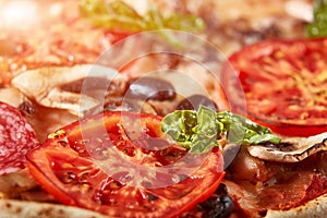 Closeup of pizza with salami, tomatoes and olives