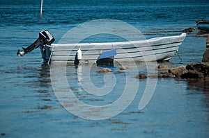 plastic small boat floating on the river