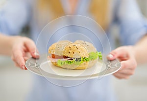 Closeup on plate with sandwich in hand of woman