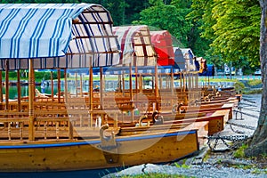 Closeup of pletna boats dock under a lakeside tree on Lake Bled in Slovenia