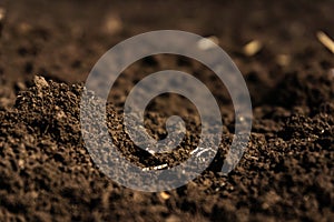 Closeup of a plowed field fertile, black soil.