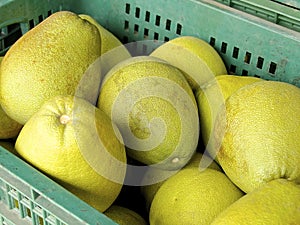 The closeup of pomelo fruit