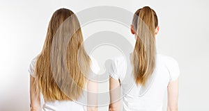 Closeup Ponytail, loose down Caucasian hair type back view isolated on white background. Straight long light brown healthy clean photo
