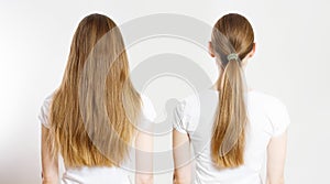 Closeup Ponytail, loose down Caucasian hair type back view isolated on white background. Straight long light brown healthy clean photo