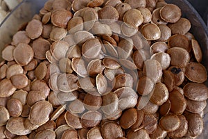 Closeup of portion of sucupira seed photo