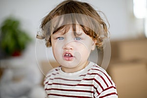 Closeup portrait of adorable little boy looking to camera