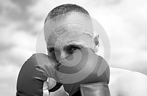 Closeup portrait of boxer practicing punches in boxing. Boxer punching in boxing gloves. Sporty man during boxing