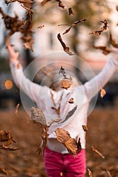 Closeup portrait of cute adorable smiling little Caucasian girl child playing with dry leaves standing in autumn fall