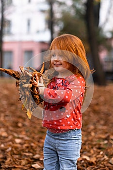 Closeup portrait of cute adorable smiling little red-haired Caucasian girl child playing with dry leaves standing in