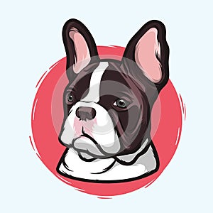 Closeup Portrait of the Domestic Dog French Bulldog Breed on the White Background. Hand Drawn Line Art