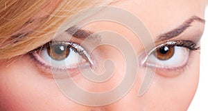 Closeup portrait of feminine eyes