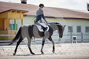 Man rider and black stallion horse walking during equestrian dressage competition in summer