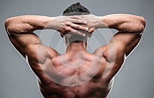 Closeup portrait of a muscular mans back