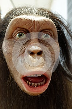 Closeup portrait of a prehistoric hominid