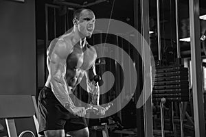 Closeup portrait of professional bodybuilder workout with barbel