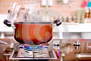 Closeup pot Kitchen luxury cooking and pan on the gas stove