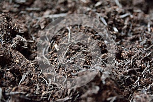 Closeup of potting soil, compost mixture