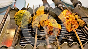 Closeup of preparation of vegetarian barbeque dishes