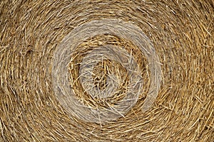 Closeup of the pressed straw roll texture