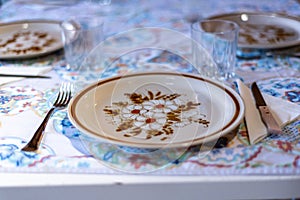 Closeup of a pretty plate with flower art and tablewear
