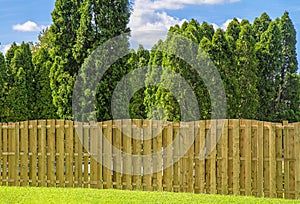 Closeup of privacy fence along backyard of home.