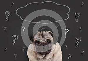 Closeup of pug puppy dog sitting in front of blackboard sign with question marks and blank thought bubble photo