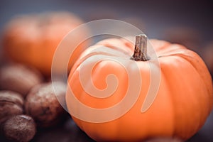 Closeup  of pumpkins and fall decor on a rustic wood background with copy space