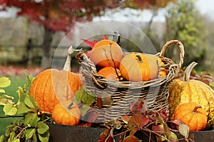 Closeup of pumpkins and gourds on old barrel