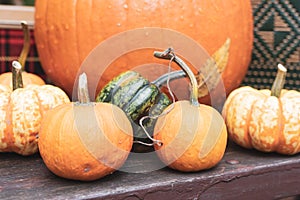 Closeup of pumpkins on a picnic table