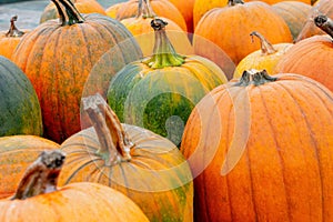 Closeup of pumpkins in variety of shapes, sizes and colors