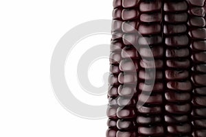 Closeup Purple corn on white background.