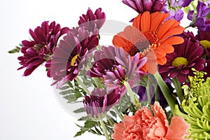 Closeup purple daisies and mums flowers