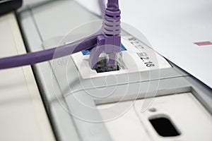Closeup of a purple ethernet cable plugged into a socket