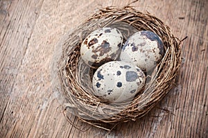 Quail eggs in nest top vieuw on wooden table backgrou photo