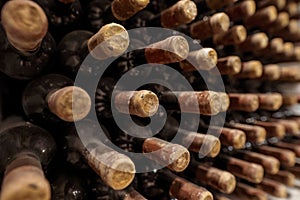 Closeup of a rack with old wine bottles covered in dust and cobweb in a winecellar in France