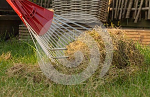 Closeup of a rake with rests of old grass.