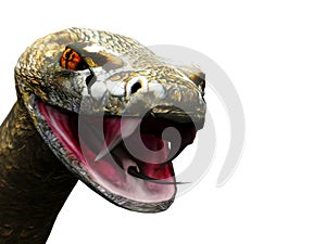 Closeup of rattlesnake ready to strike