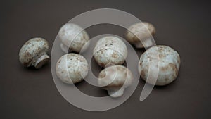 Closeup of raw Agaricus bisporus mushrooms on the dark blurred background