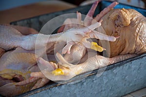 Closeup of raw chicken in a container under the lights with a blurry background
