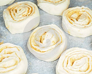 Closeup of raw cinnamon buns on baking paper