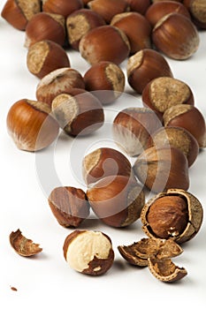 Closeup raw hazelnuts white isolated