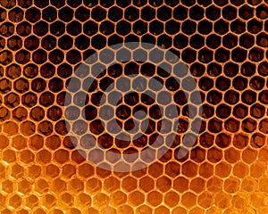 Closeup raw organic Honeycombs . Newly pulled honey bee honeycomb beeswax . Homeopathic food concept with bee honeycomb flat lay .
